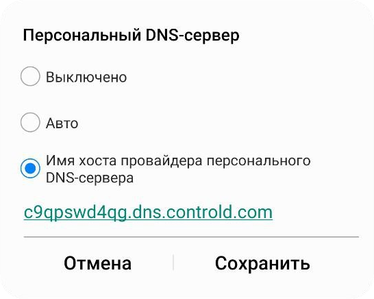 Вставить DNS