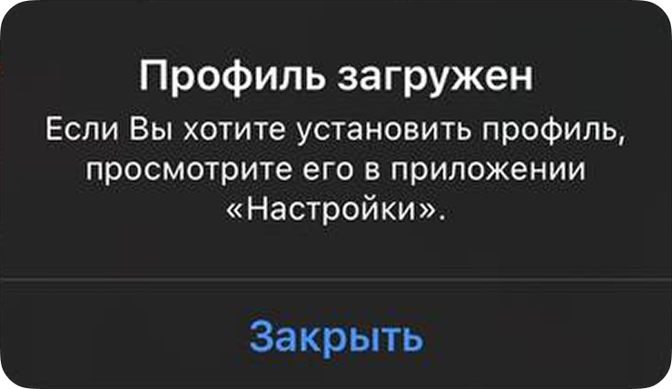Профиль загружен
