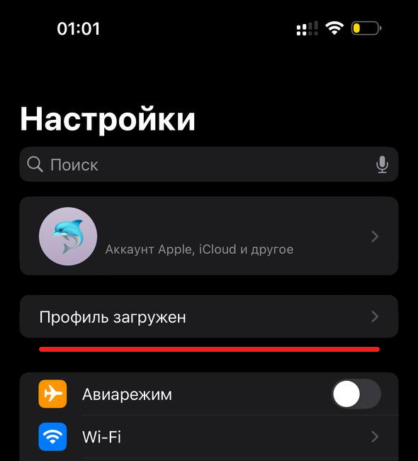 Настройки - Профиль загружен